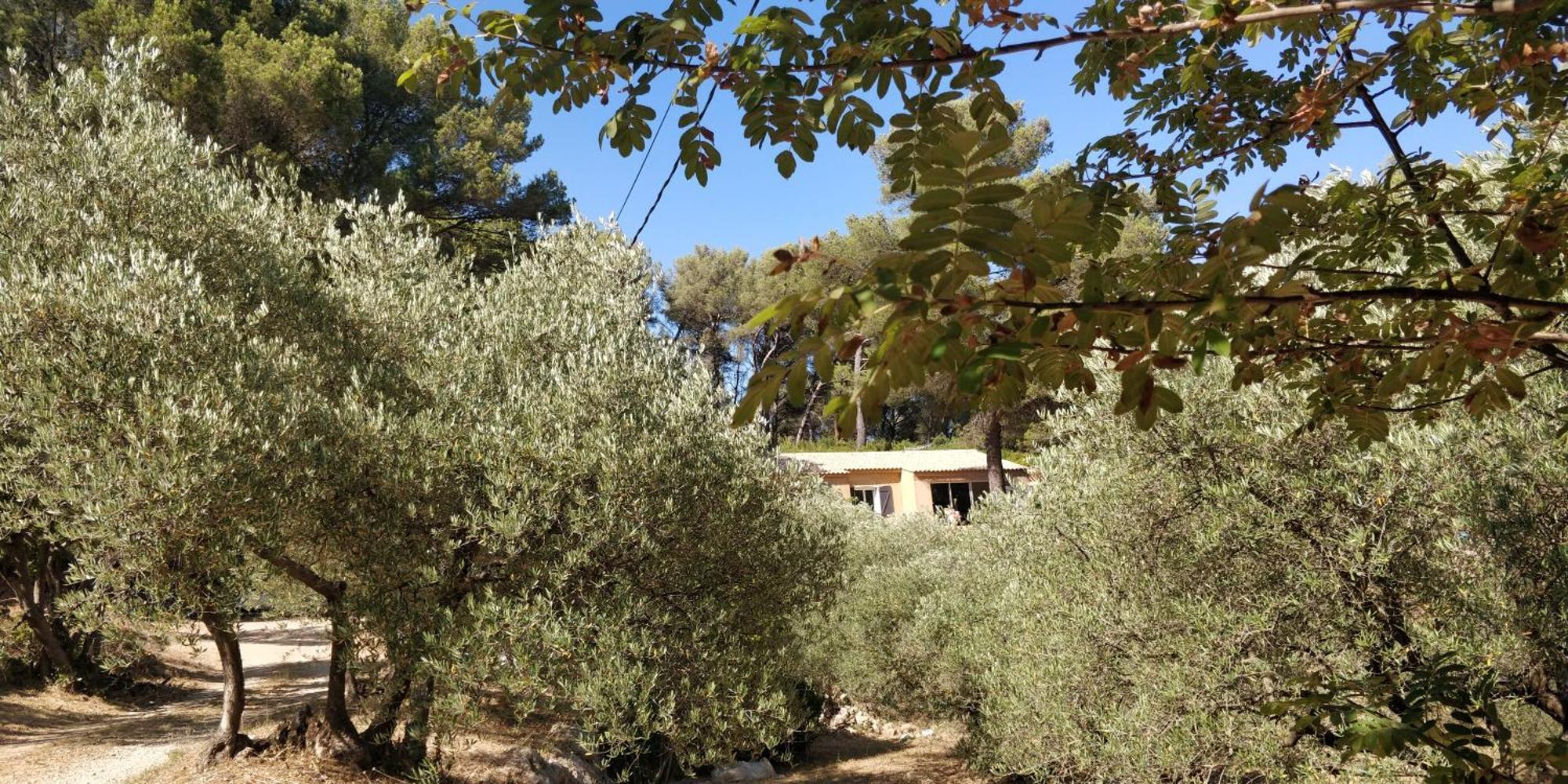 Villa Cigalons En Pleine Pinede Avec Piscine Chauffee De Mai A Septembre Ориоль Экстерьер фото