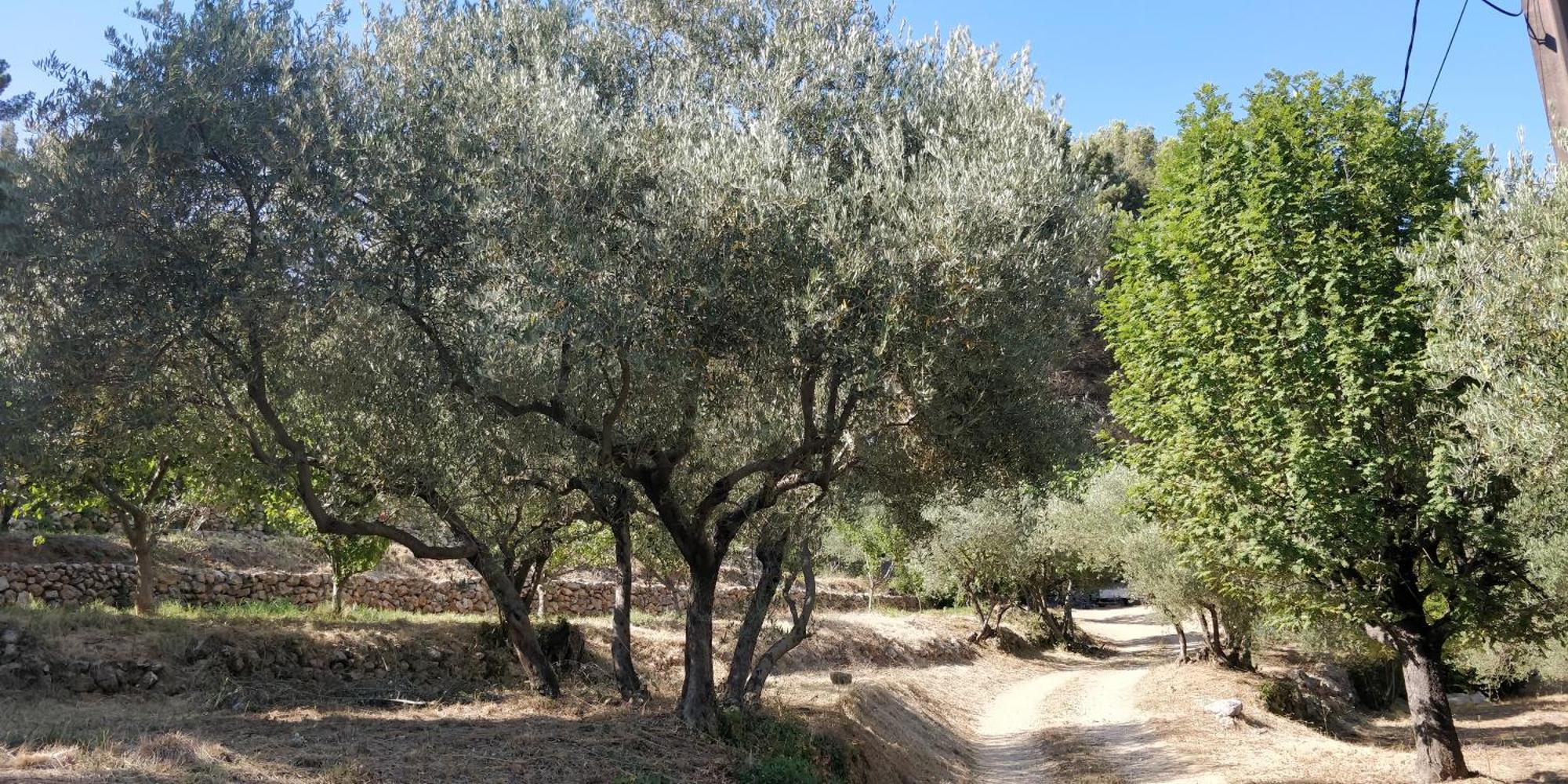 Villa Cigalons En Pleine Pinede Avec Piscine Chauffee De Mai A Septembre Ориоль Экстерьер фото