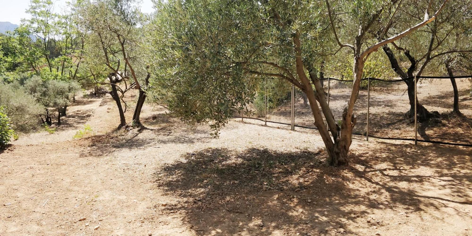 Villa Cigalons En Pleine Pinede Avec Piscine Chauffee De Mai A Septembre Ориоль Экстерьер фото