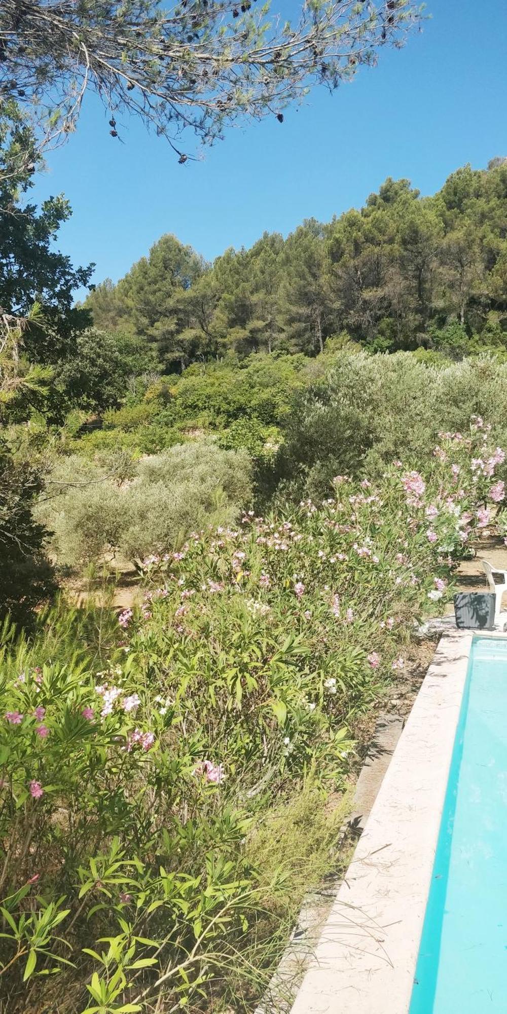 Villa Cigalons En Pleine Pinede Avec Piscine Chauffee De Mai A Septembre Ориоль Экстерьер фото