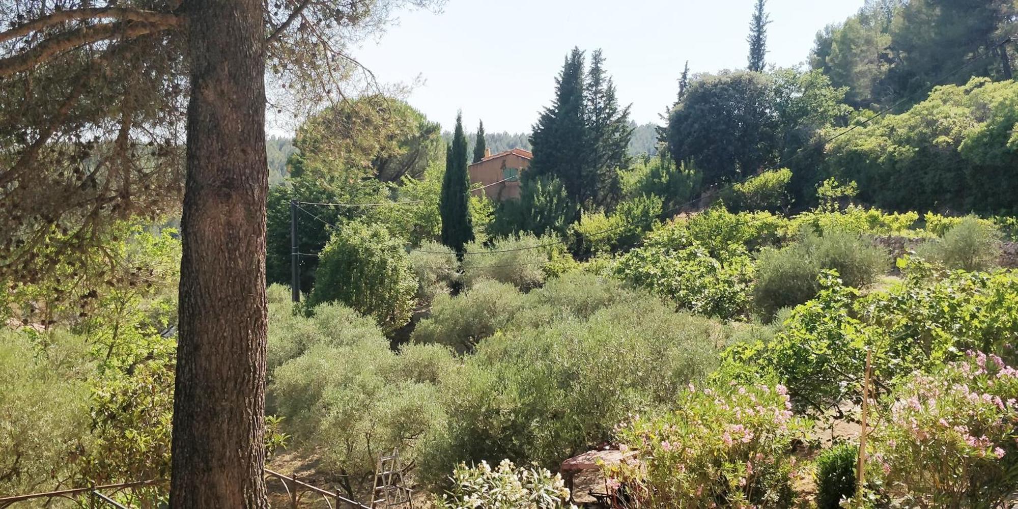 Villa Cigalons En Pleine Pinede Avec Piscine Chauffee De Mai A Septembre Ориоль Экстерьер фото