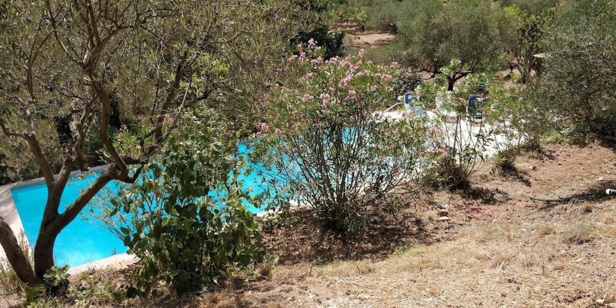 Villa Cigalons En Pleine Pinede Avec Piscine Chauffee De Mai A Septembre Ориоль Экстерьер фото